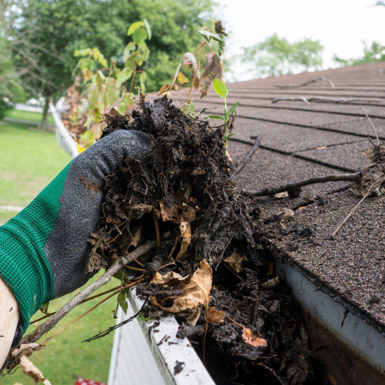 Pressure washing services in Knoxville, TN Pressure washing services in Knoxville, TN