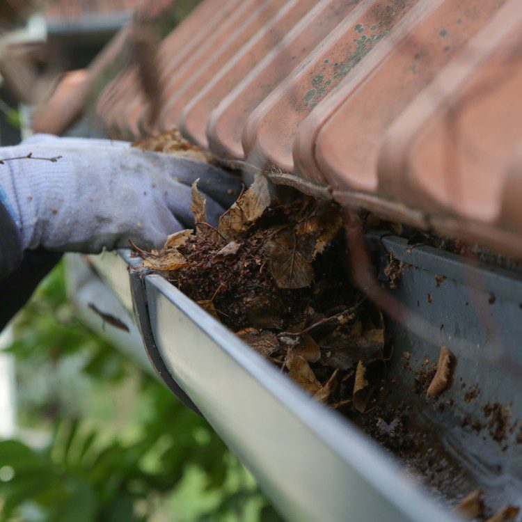 Pressure washing services in Knoxville, TN Pressure washing services in Knoxville, TN